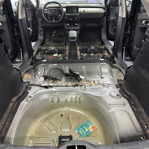 detailing_int_inainte